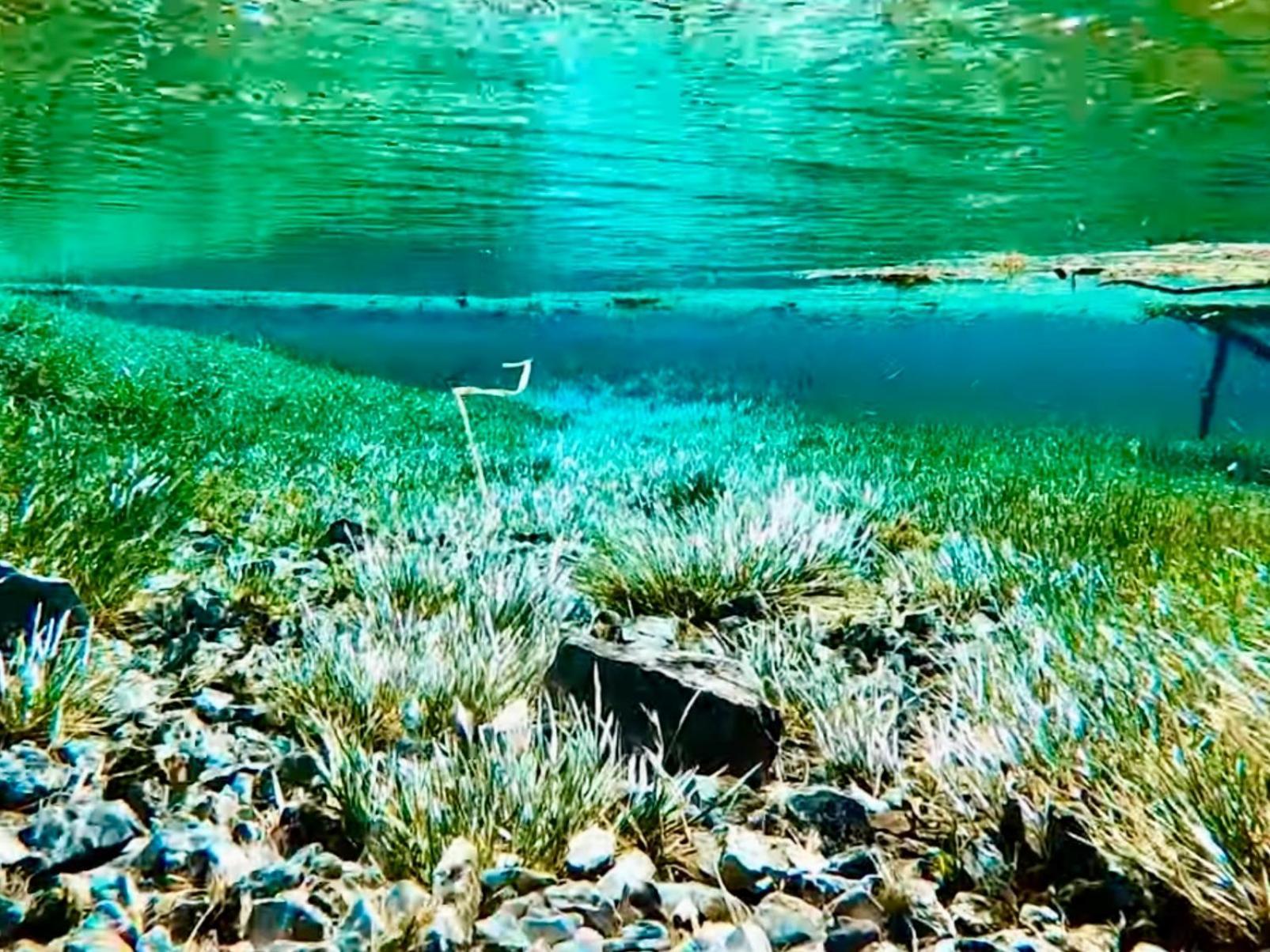Gruener See Exklusiv Oberort Zewnętrze zdjęcie