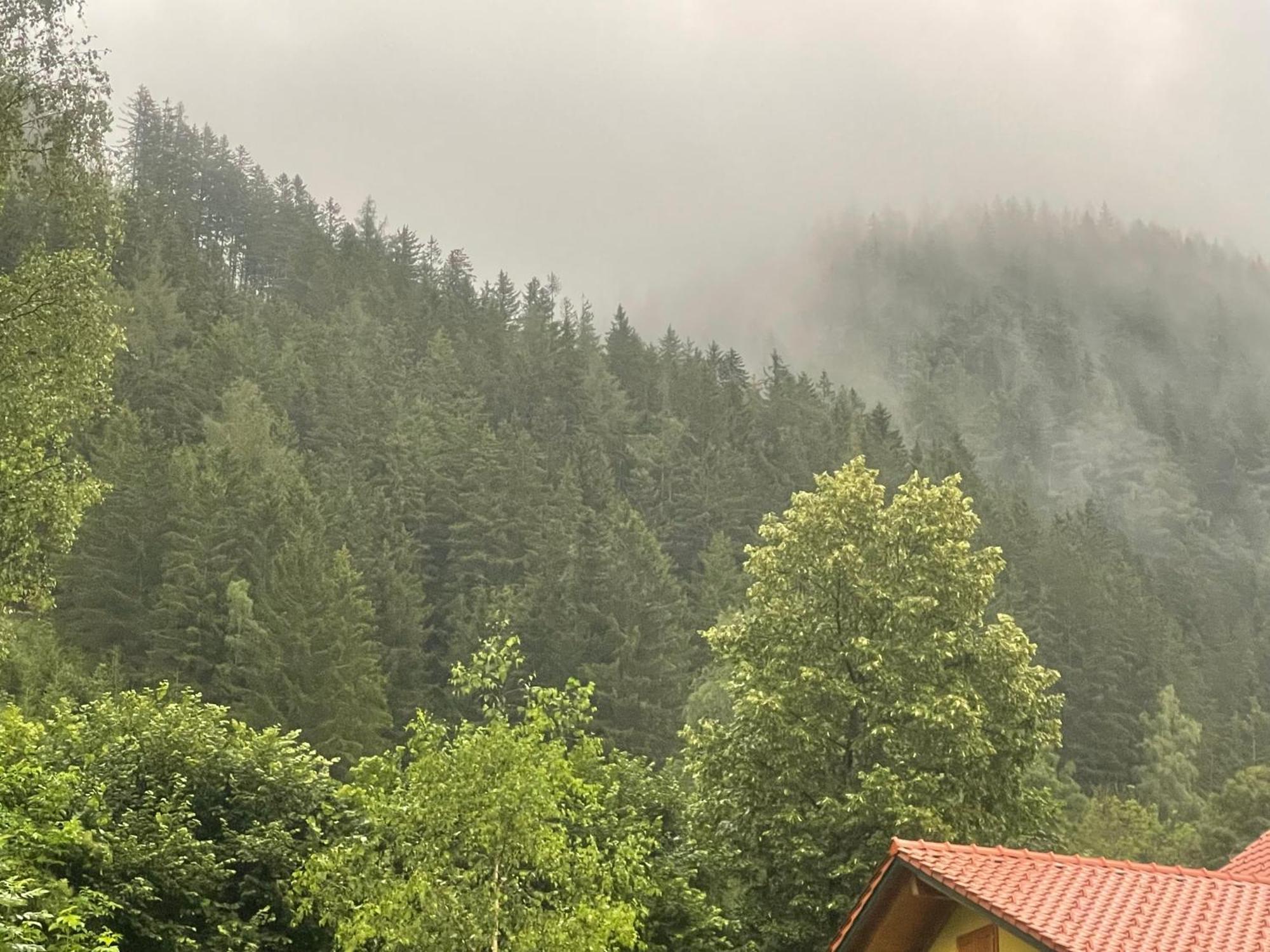 Gruener See Exklusiv Oberort Zewnętrze zdjęcie